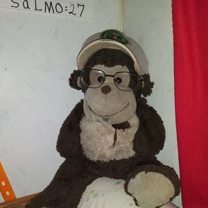 Meet your Posher, Rolando